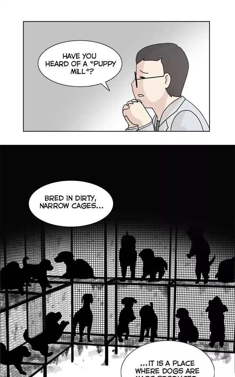 The Dog Diaries Chapter 2