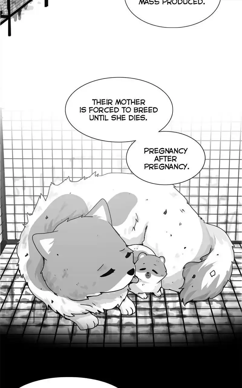 The Dog Diaries Chapter 2