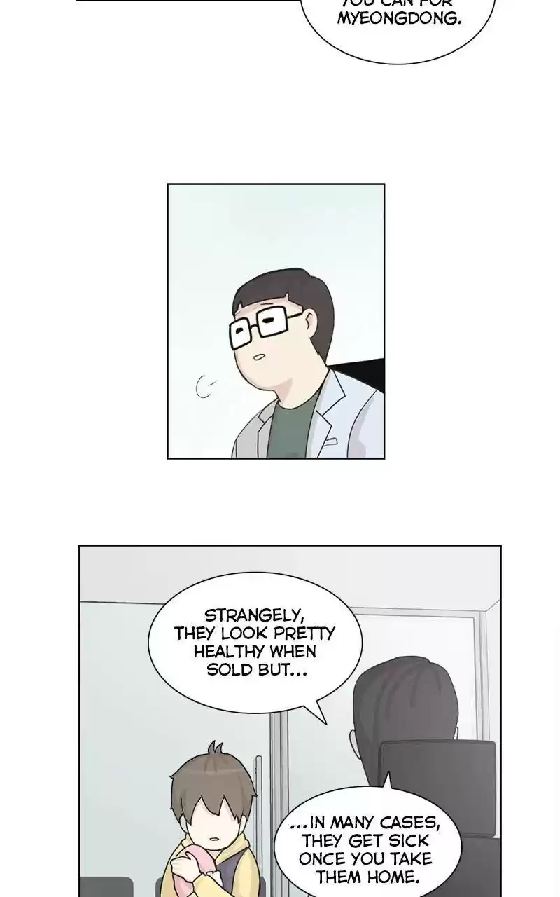 The Dog Diaries Chapter 2