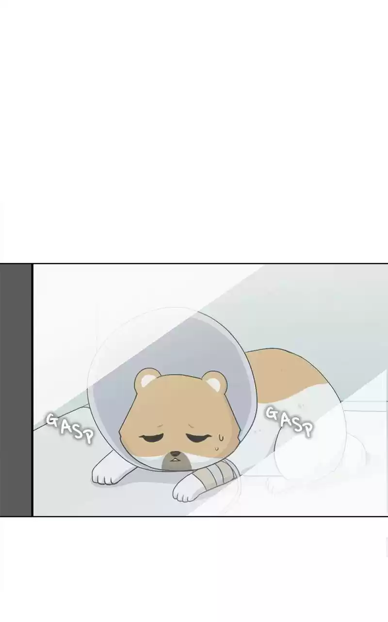 The Dog Diaries Chapter 2