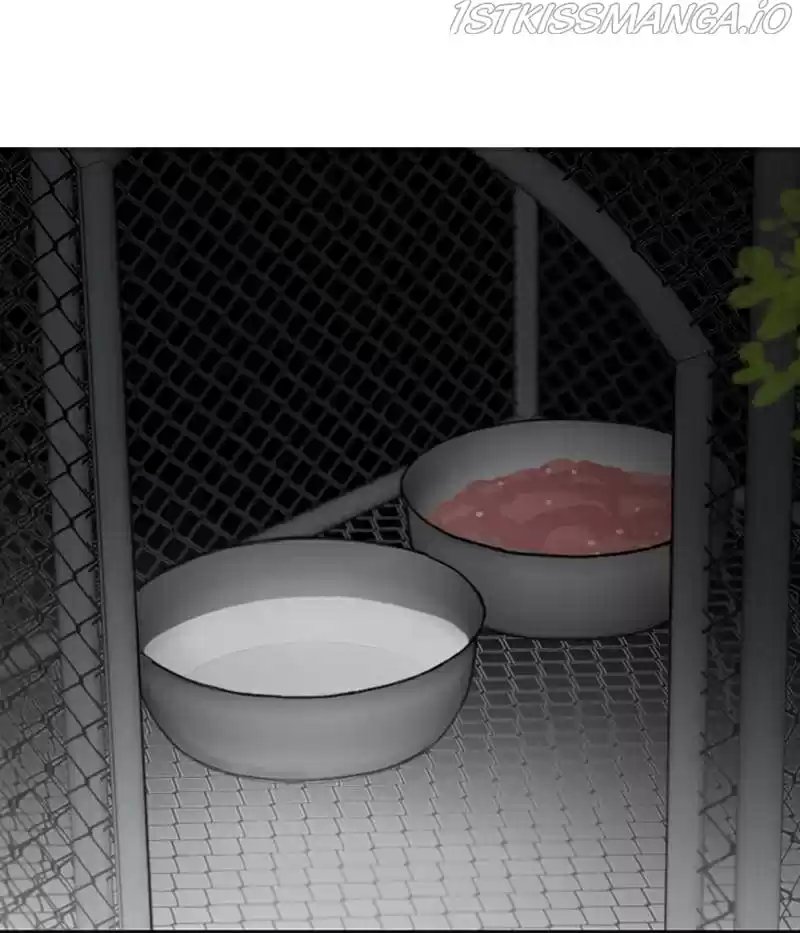 The Dog Diaries Chapter 20