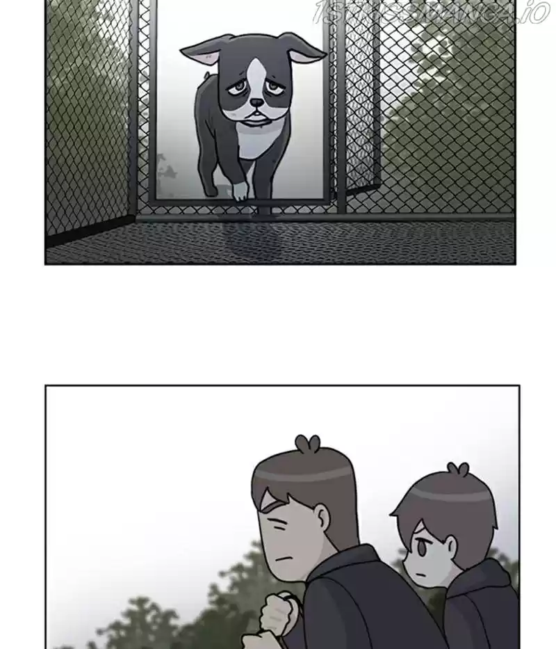 The Dog Diaries Chapter 20