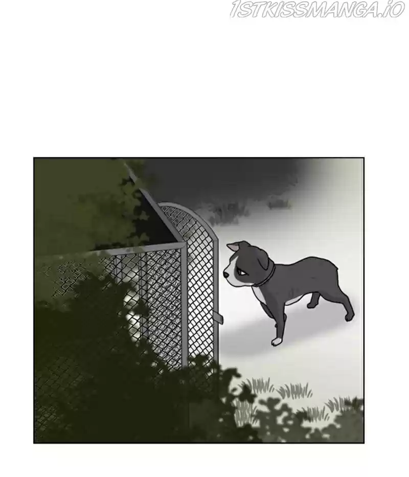 The Dog Diaries Chapter 20