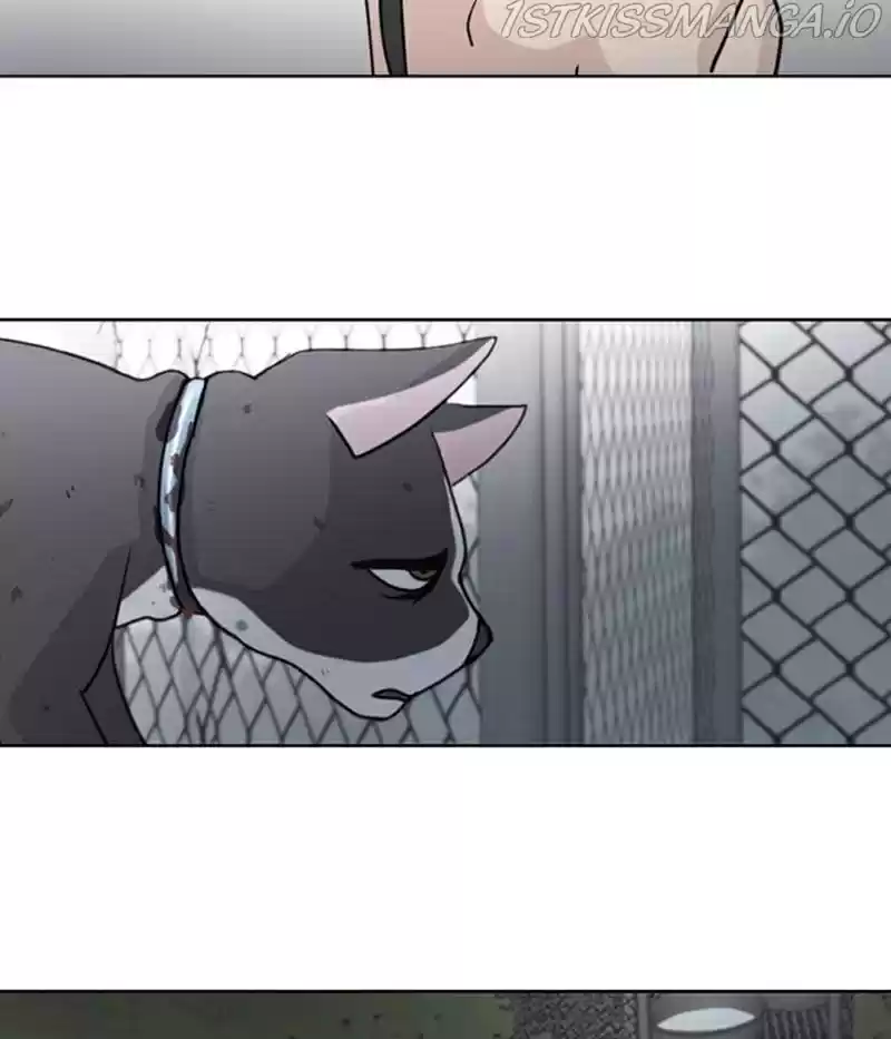 The Dog Diaries Chapter 20