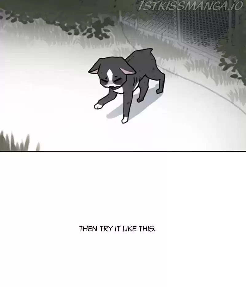 The Dog Diaries Chapter 20