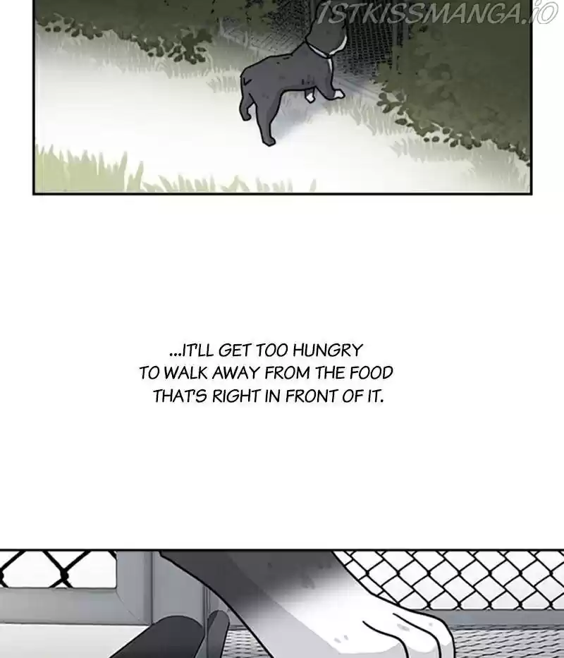 The Dog Diaries Chapter 20