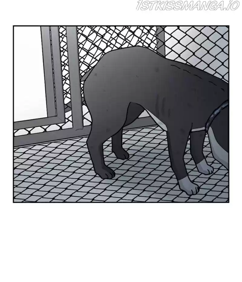 The Dog Diaries Chapter 20