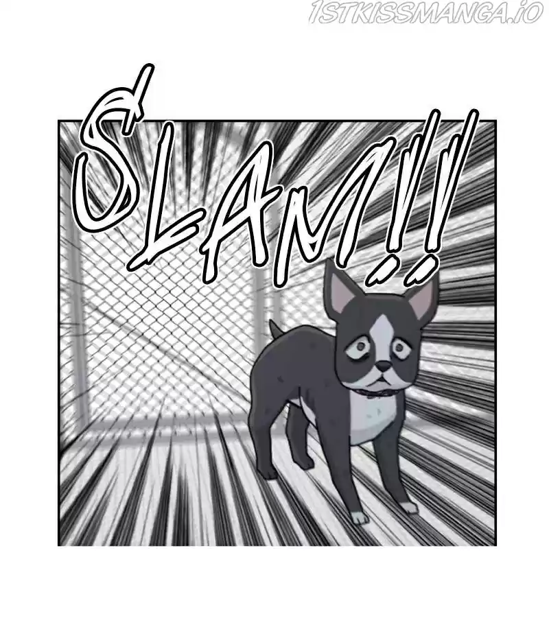 The Dog Diaries Chapter 20