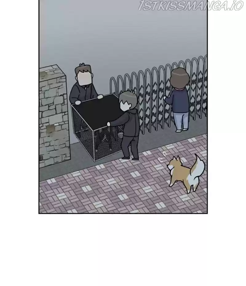 The Dog Diaries Chapter 20