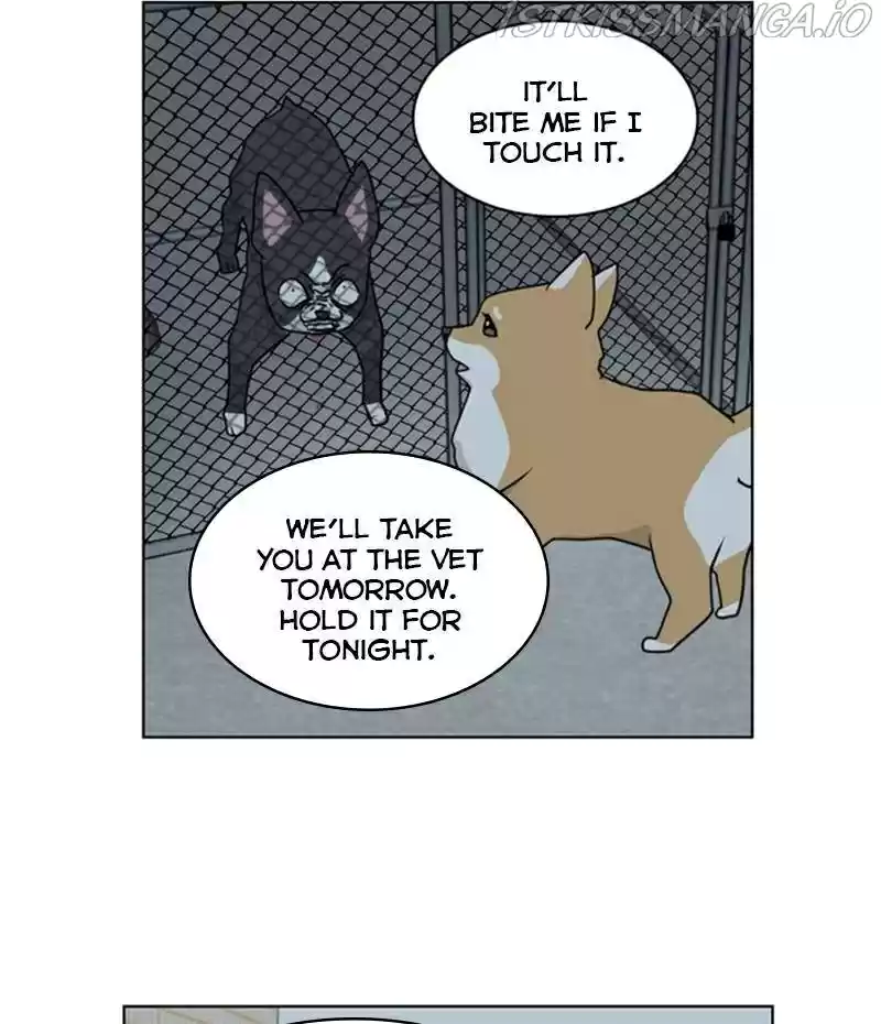 The Dog Diaries Chapter 20
