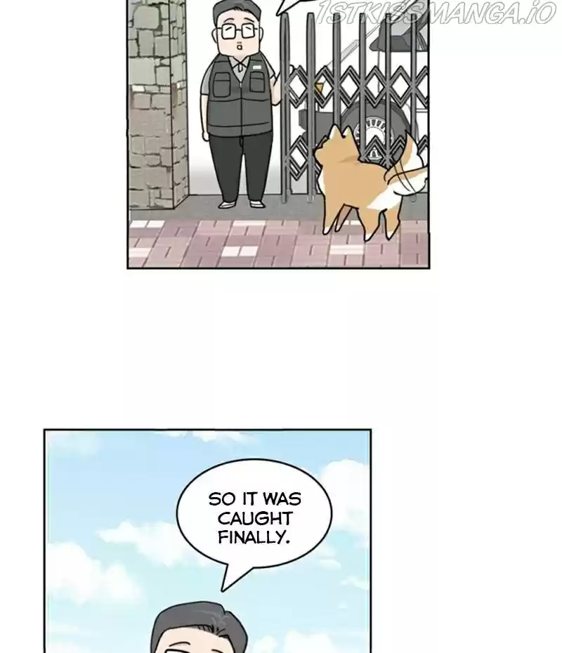 The Dog Diaries Chapter 20