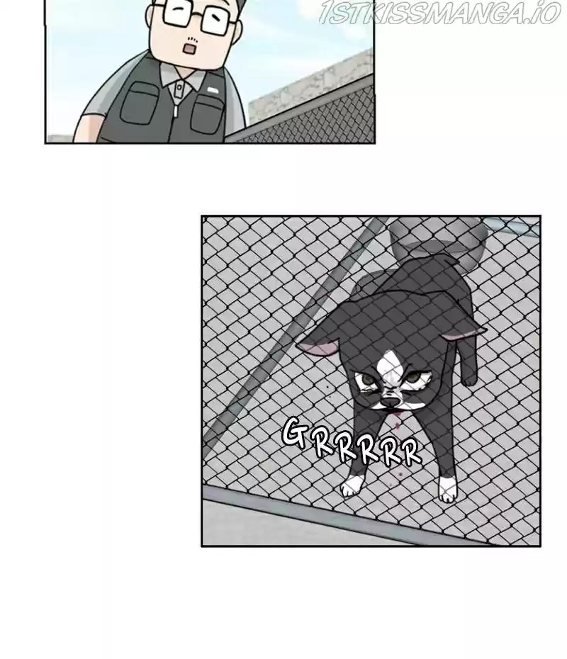 The Dog Diaries Chapter 20