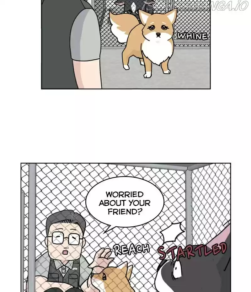 The Dog Diaries Chapter 20