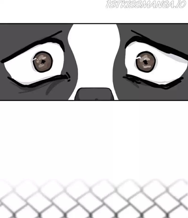 The Dog Diaries Chapter 20