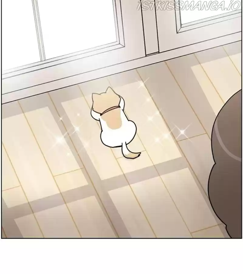 The Dog Diaries Chapter 20