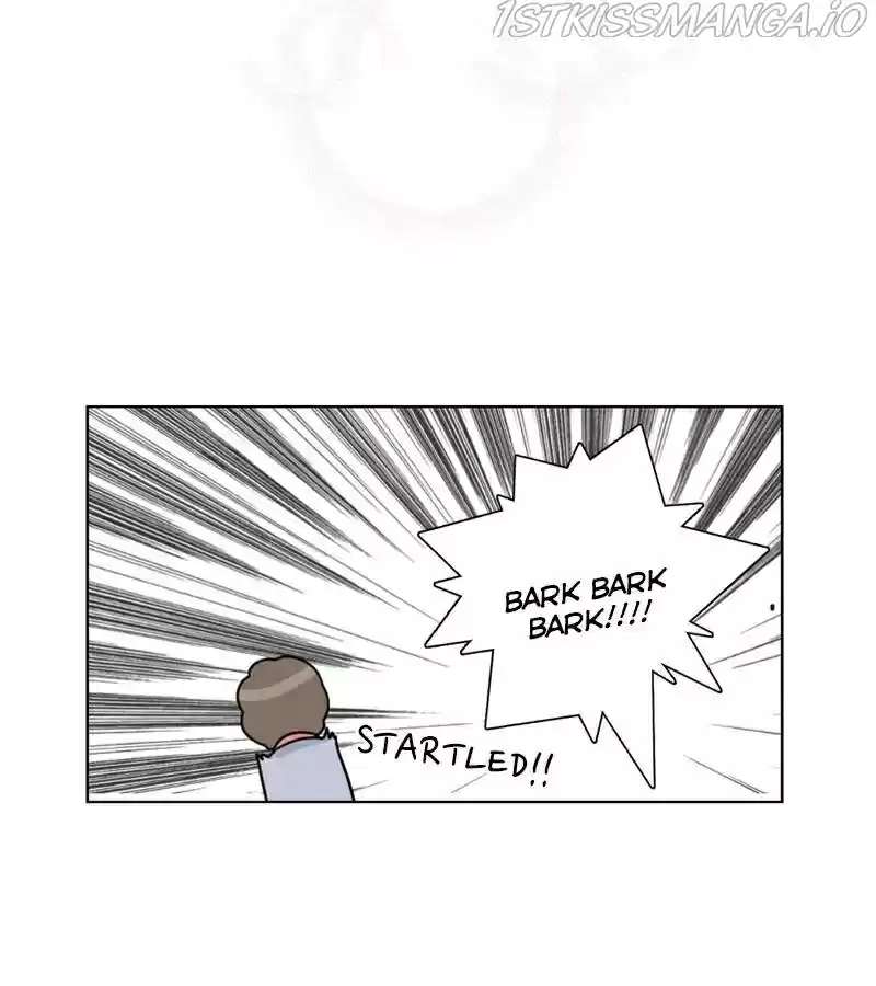 The Dog Diaries Chapter 20