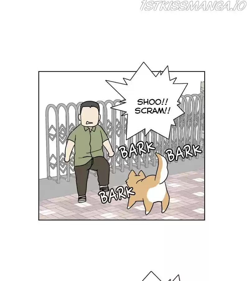 The Dog Diaries Chapter 20