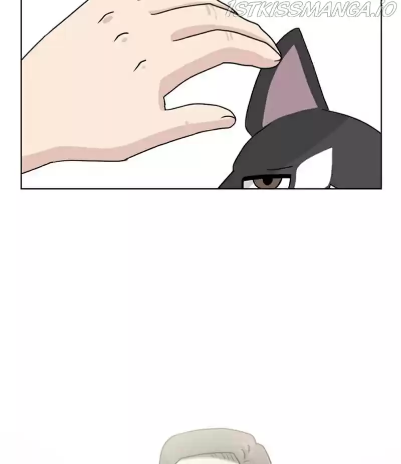 The Dog Diaries Chapter 21