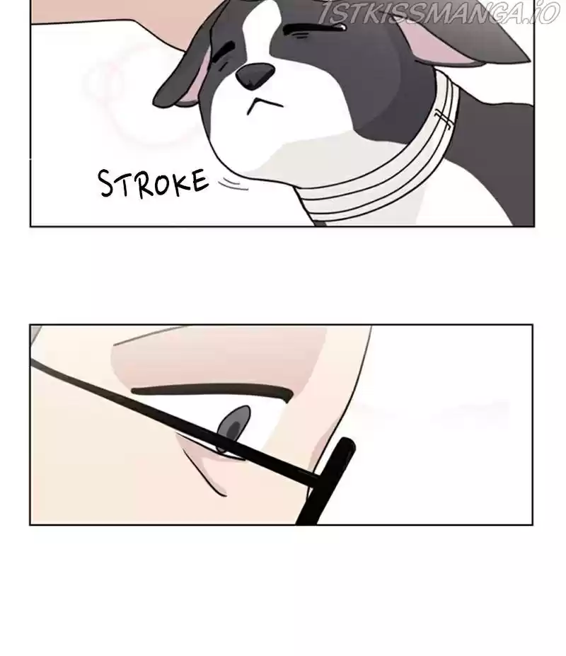 The Dog Diaries Chapter 21