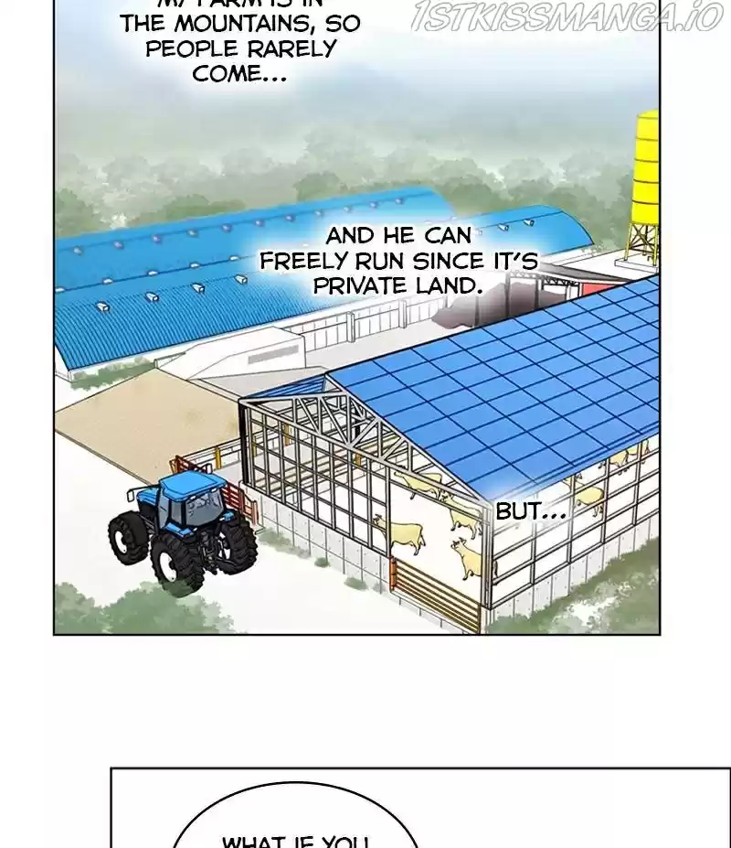 The Dog Diaries Chapter 21