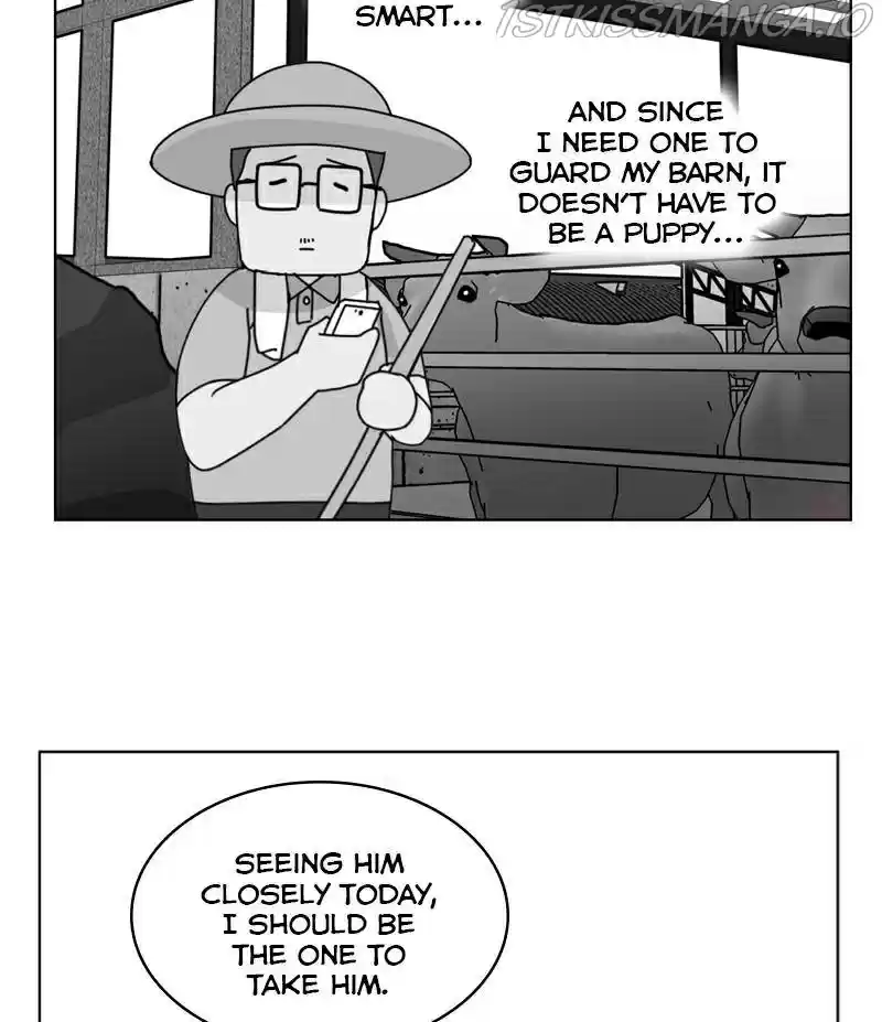 The Dog Diaries Chapter 21