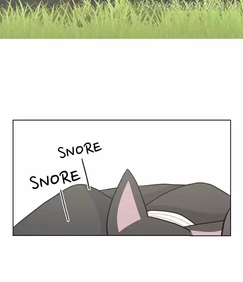 The Dog Diaries Chapter 21