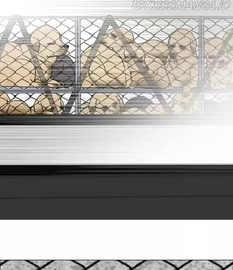 The Dog Diaries Chapter 21