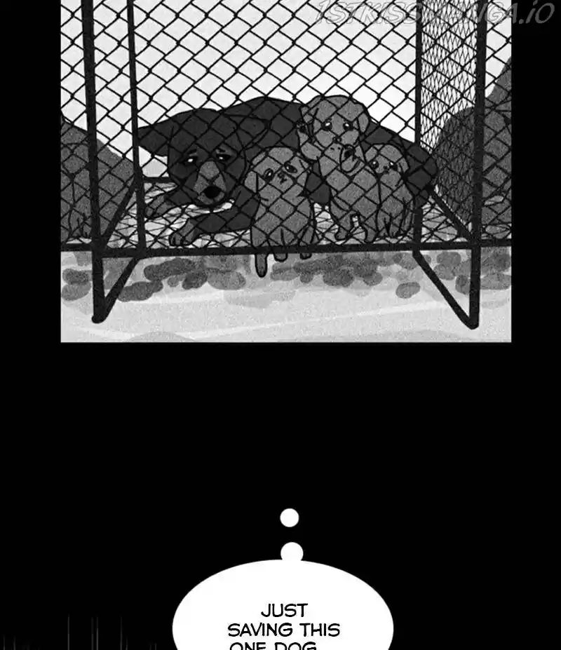 The Dog Diaries Chapter 21