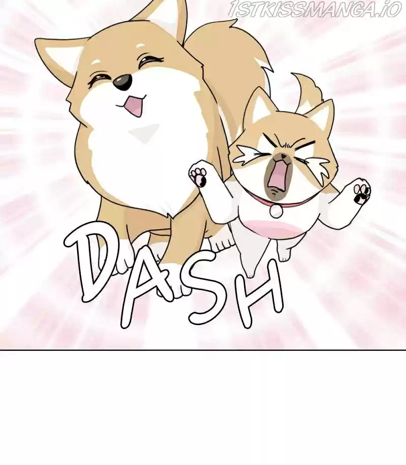 The Dog Diaries Chapter 21