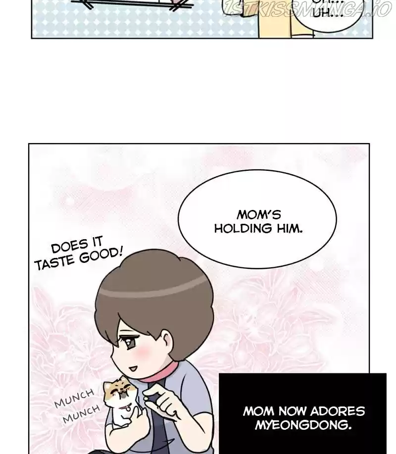 The Dog Diaries Chapter 21