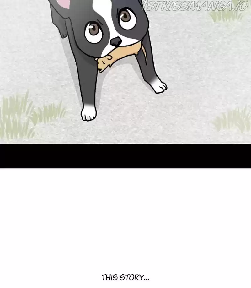 The Dog Diaries Chapter 21