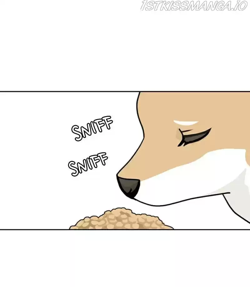 The Dog Diaries Chapter 21