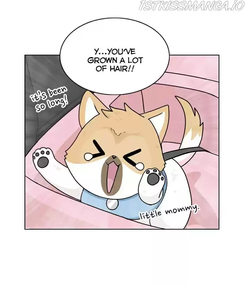 The Dog Diaries Chapter 22