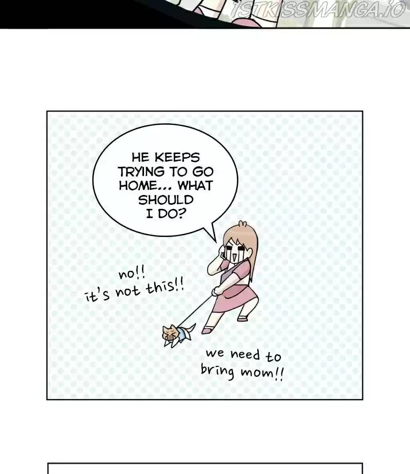 The Dog Diaries Chapter 22