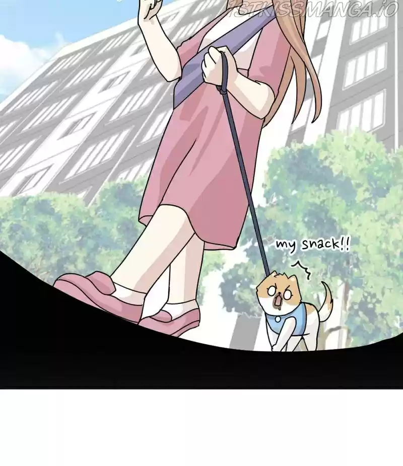 The Dog Diaries Chapter 22