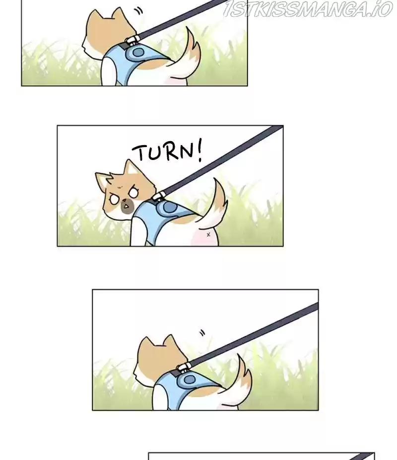 The Dog Diaries Chapter 22