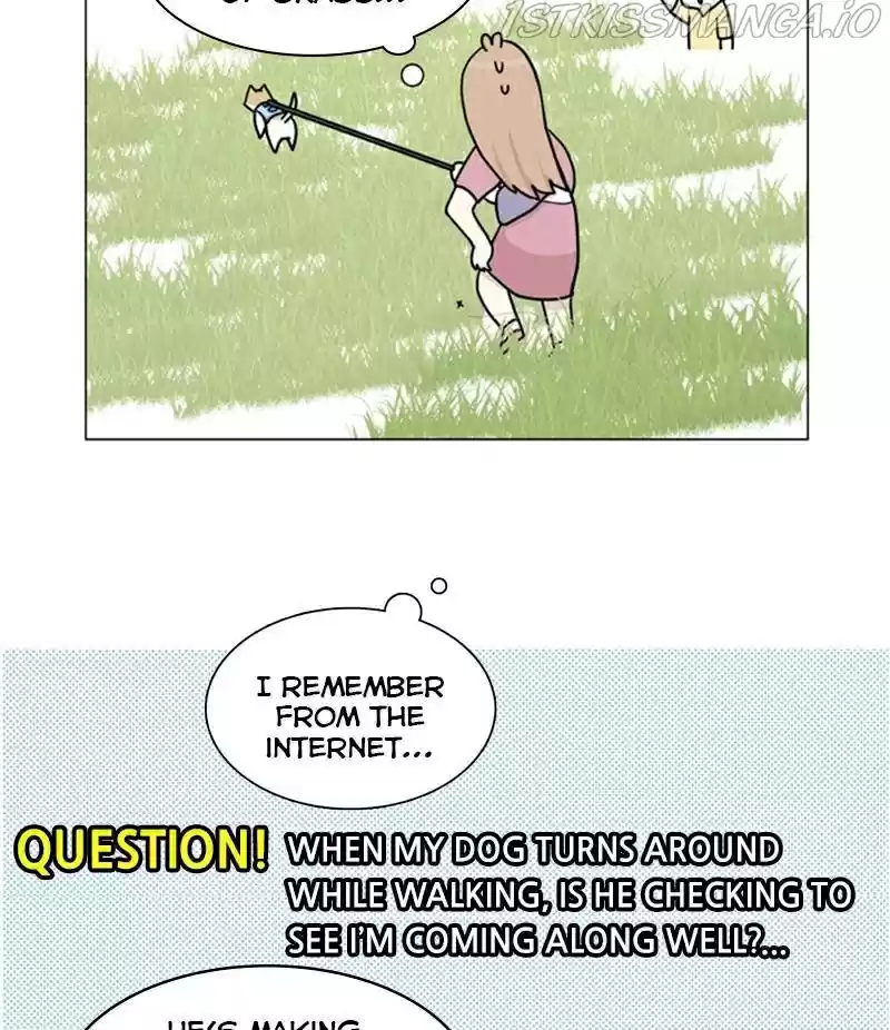 The Dog Diaries Chapter 22