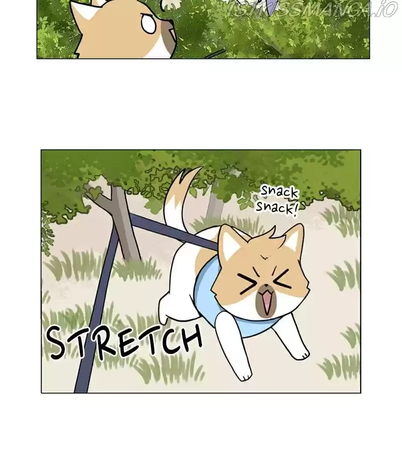 The Dog Diaries Chapter 22