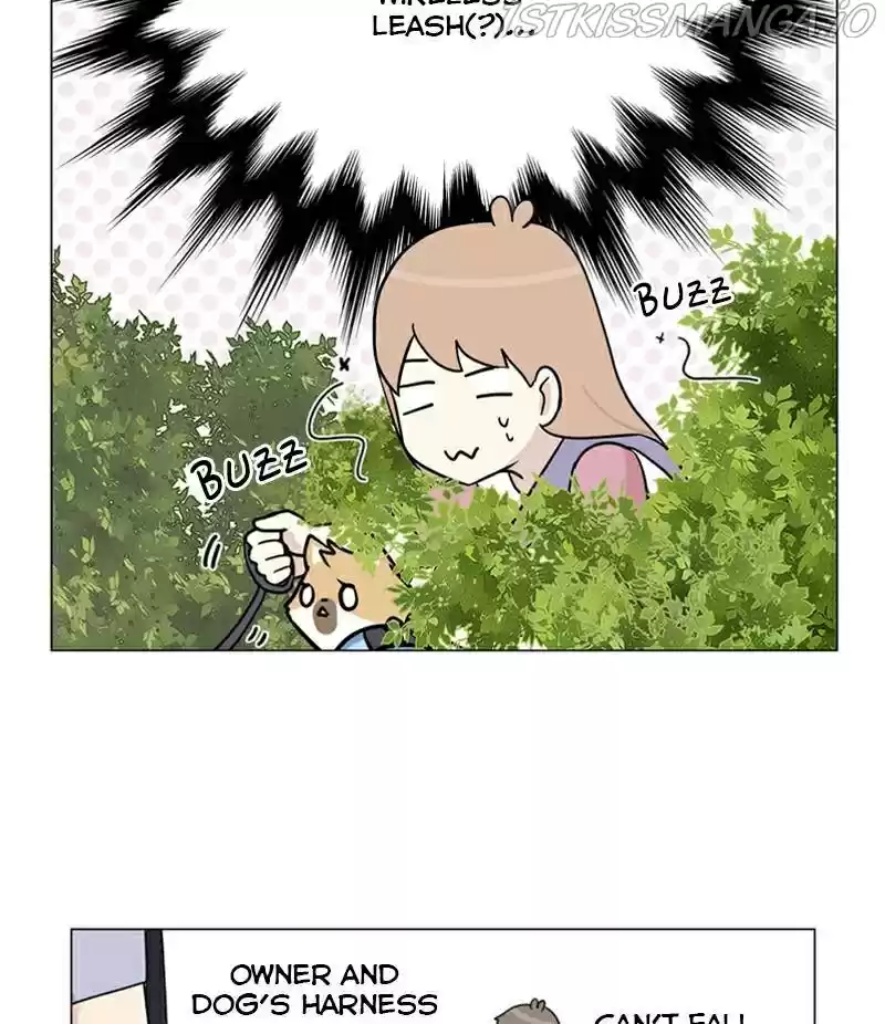 The Dog Diaries Chapter 22