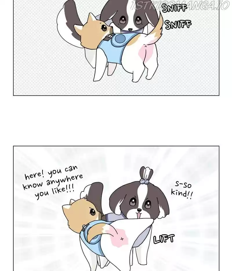 The Dog Diaries Chapter 22