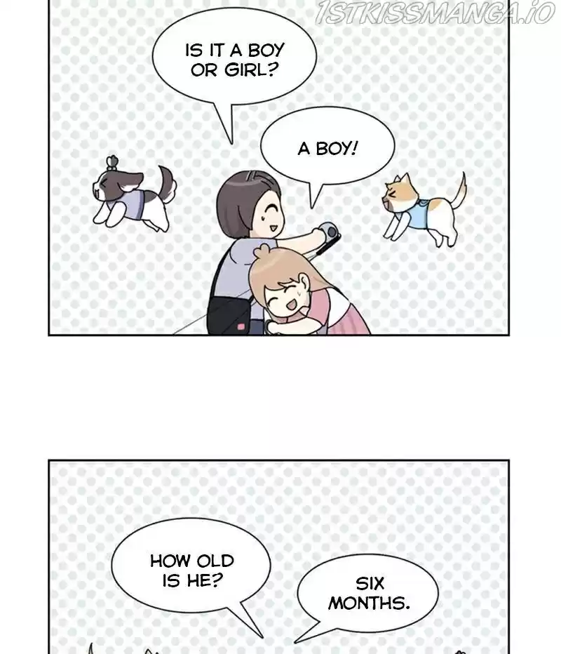 The Dog Diaries Chapter 22