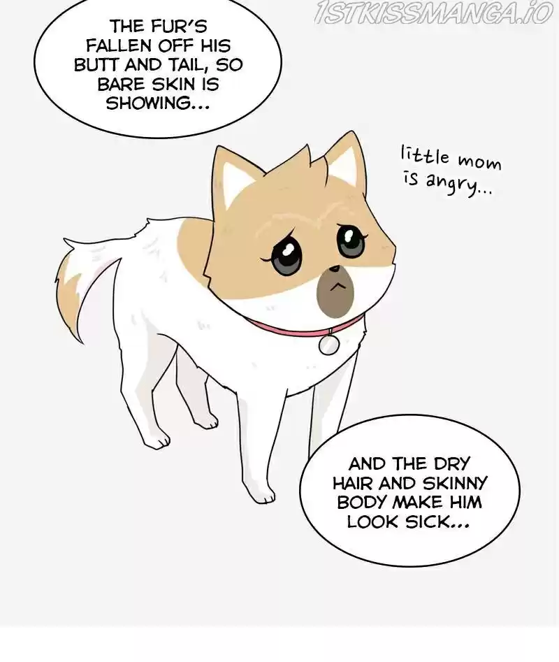 The Dog Diaries Chapter 23