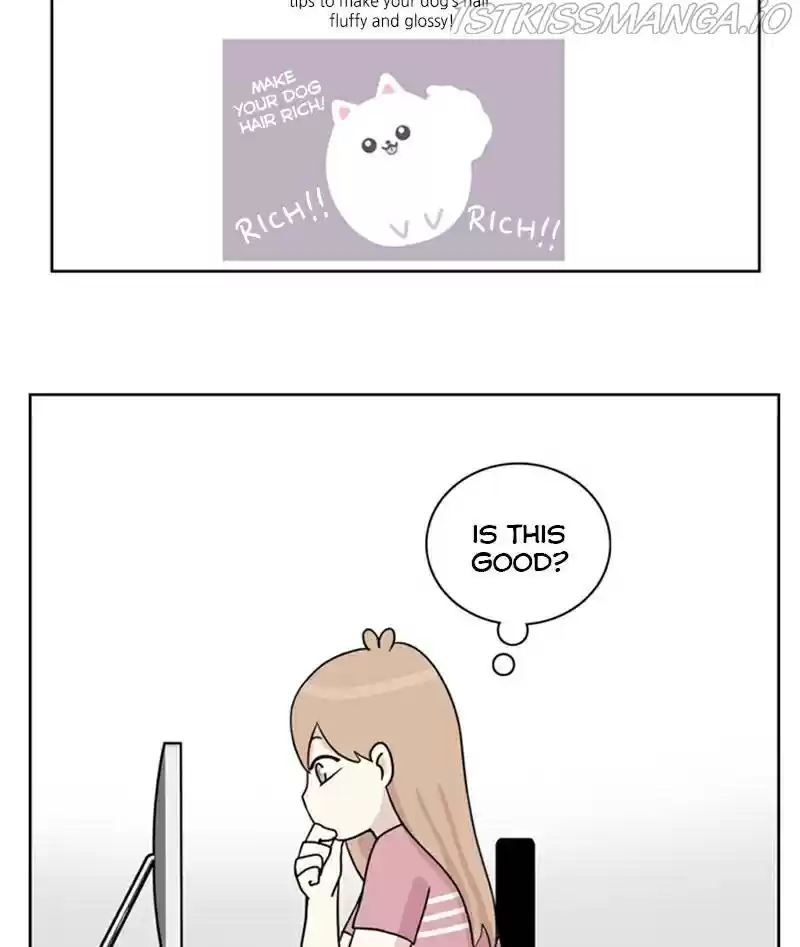 The Dog Diaries Chapter 23