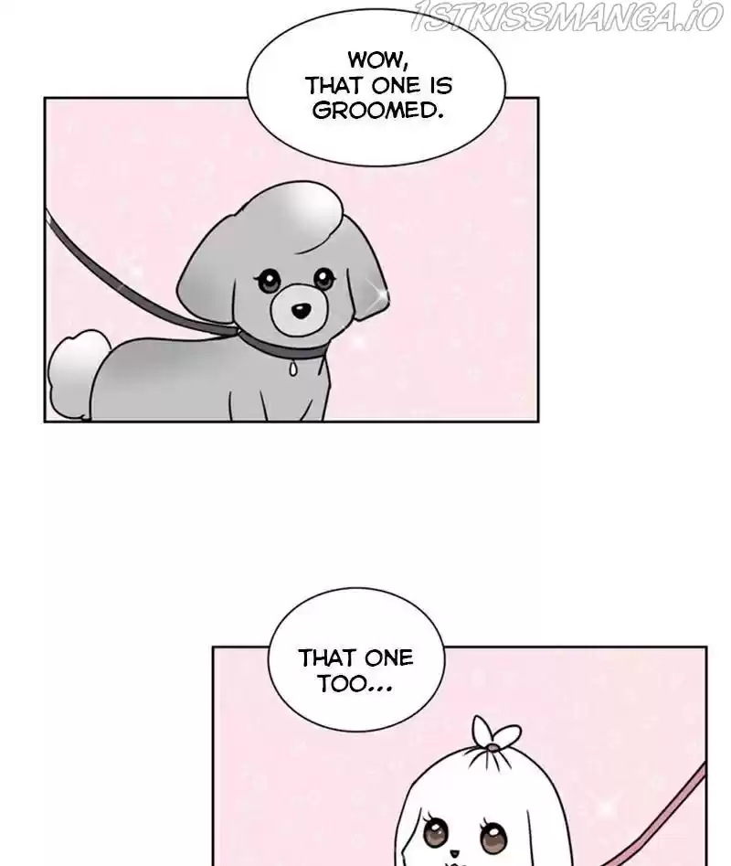 The Dog Diaries Chapter 23