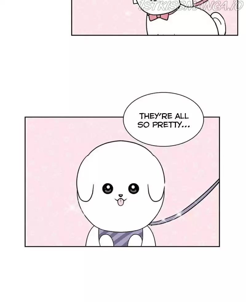 The Dog Diaries Chapter 23