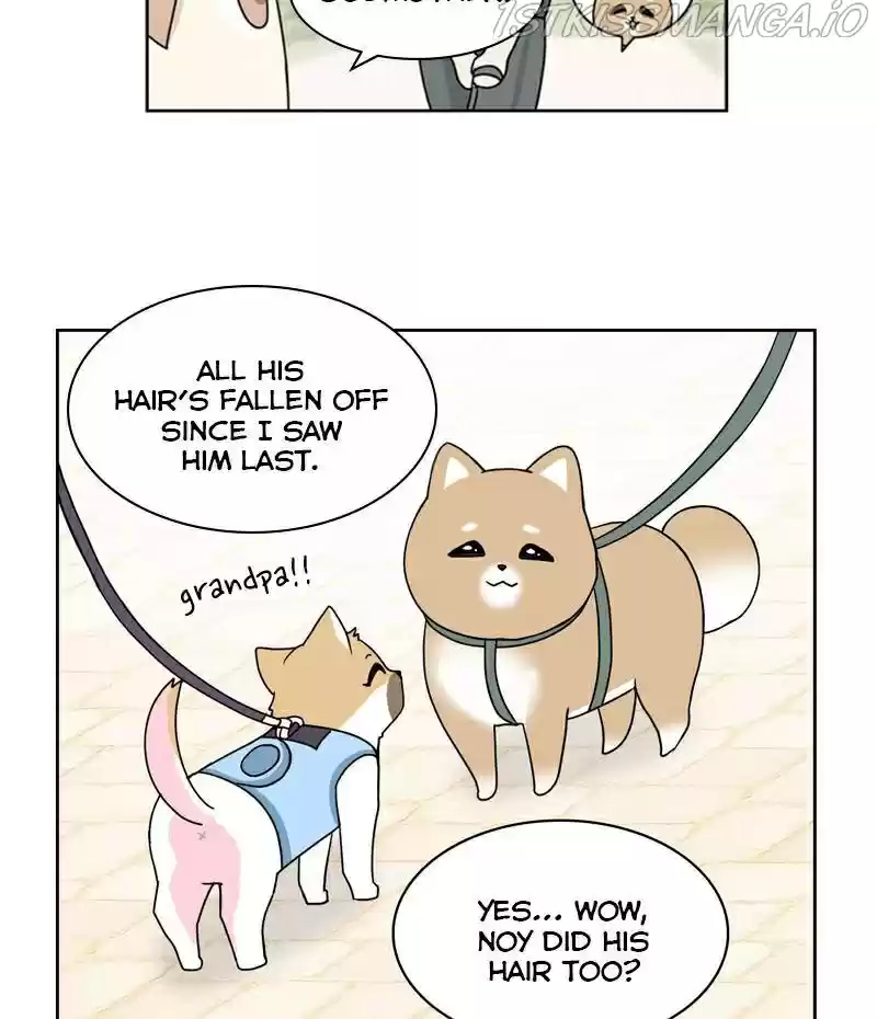 The Dog Diaries Chapter 23