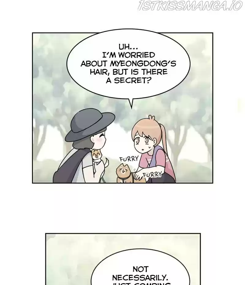 The Dog Diaries Chapter 23