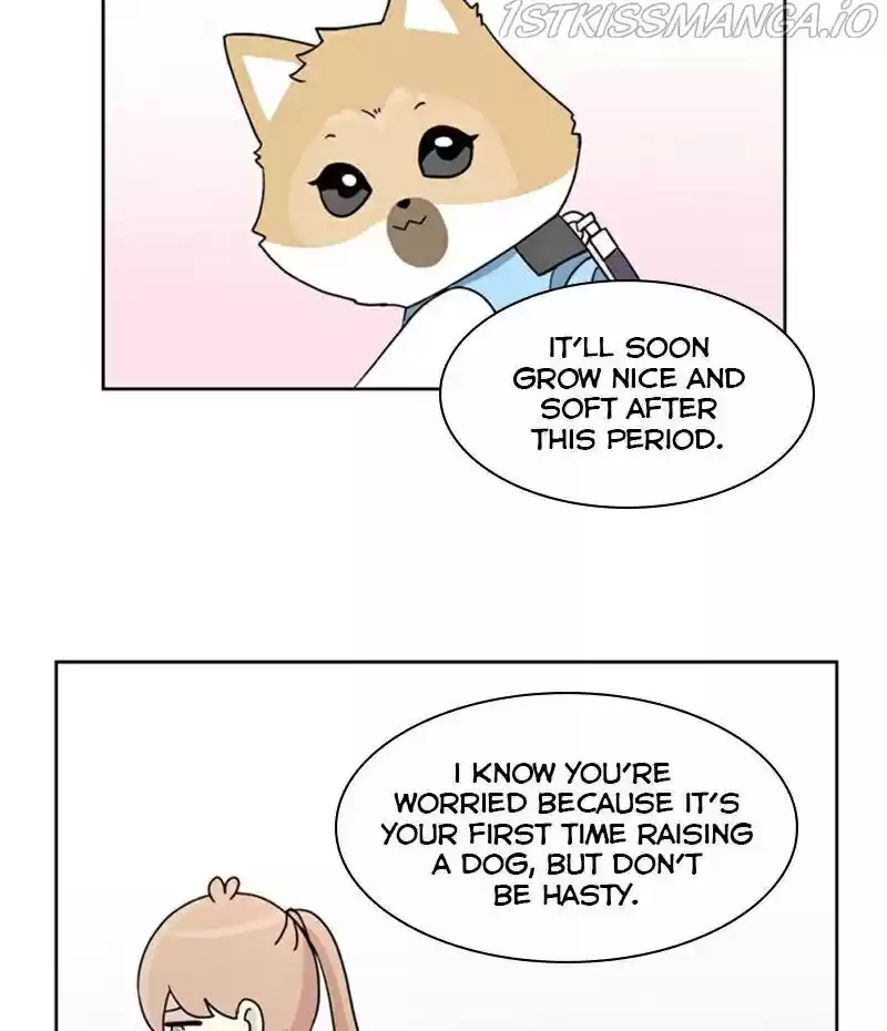 The Dog Diaries Chapter 23