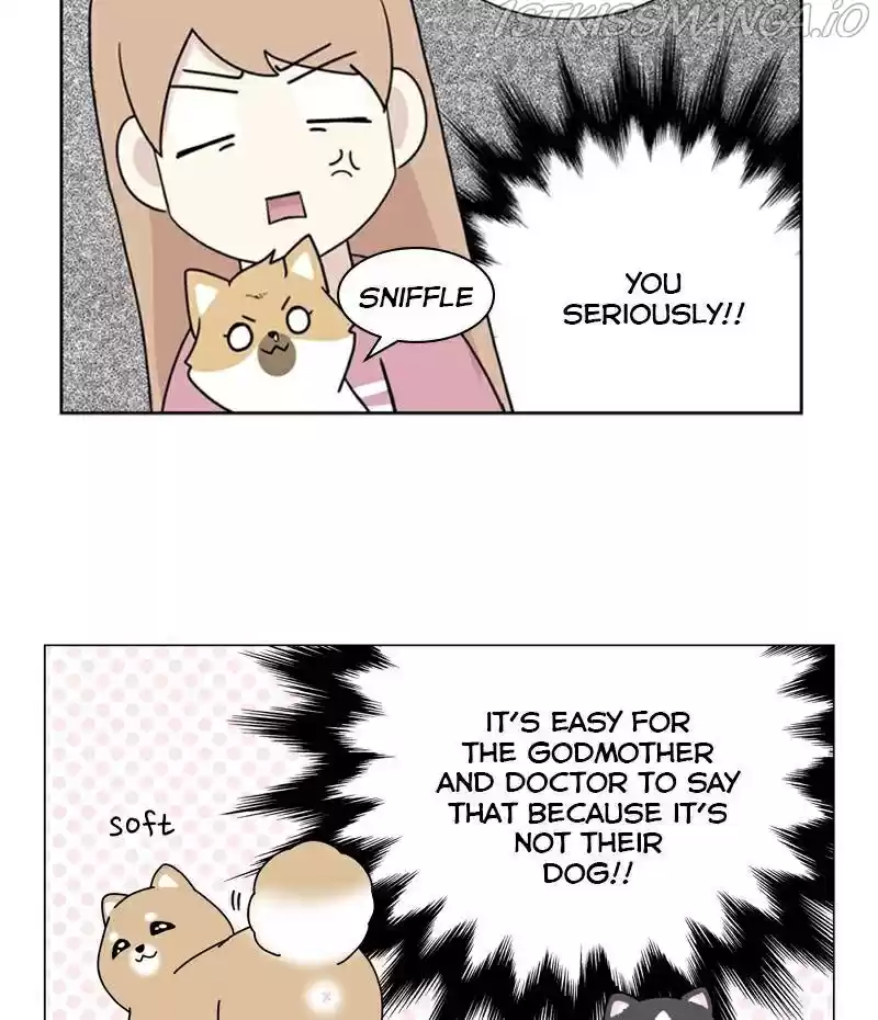 The Dog Diaries Chapter 23