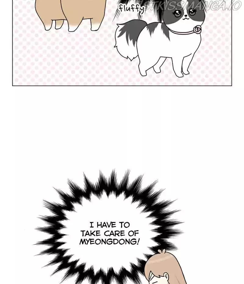 The Dog Diaries Chapter 23